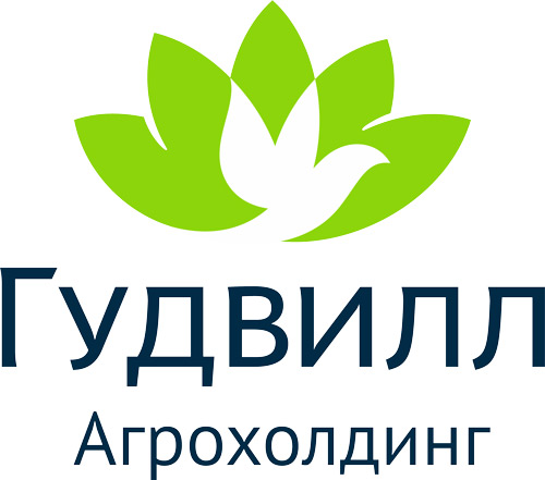 Гудвилл Гудвилл