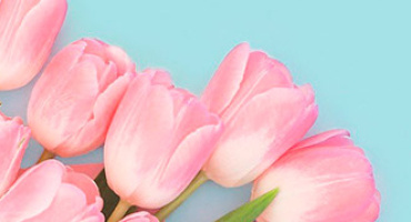 С международным женским днём!