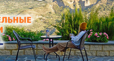 Растительные напитки