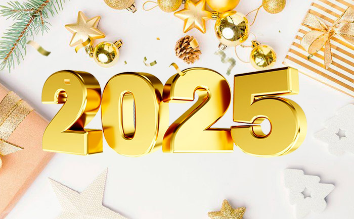 Поздравляем с Новым 2025 годом!