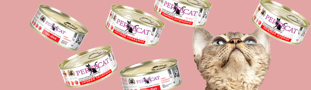 Влажный корм для кошек PERFECAT. НОВИНКА!