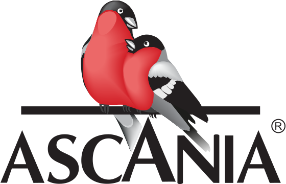 Ascania