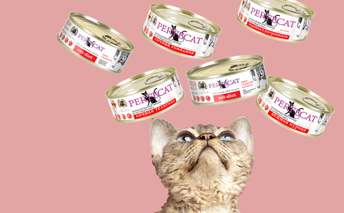 Влажный корм для кошек PERFECAT. НОВИНКА!